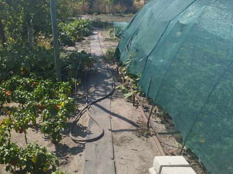 будинок за адресою Садовая