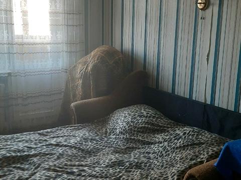 квартира по адресу Давида Ойстраха ул. (Затонського), 21