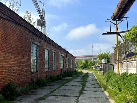 комерційна за адресою Симона Петлюри вул., 8
