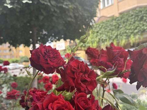 квартира по адресу Боголюбова ул., 14