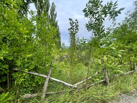 ділянка за адресою Звенигородська, 101-А
