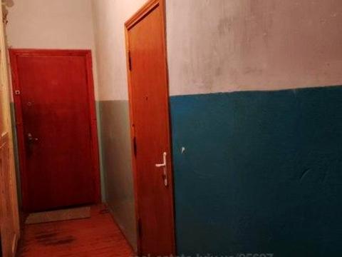 квартира по адресу Под Дубом ул. (Космонавтов), 22