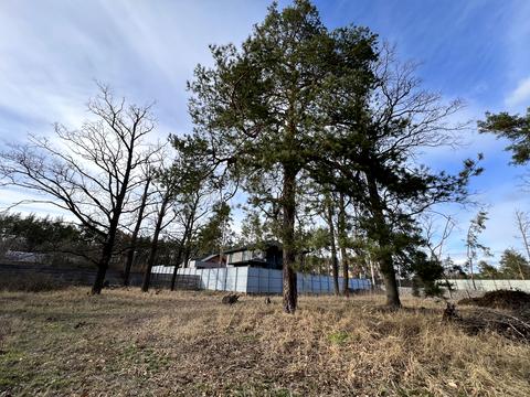 участок по адресу Луговая ул., 30М