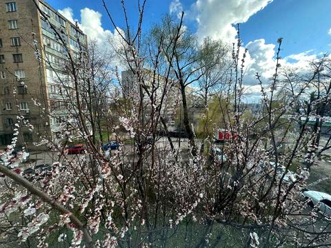 квартира по адресу Зодчих ул., 80
