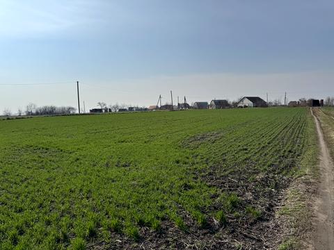 ділянка за адресою Кільцева