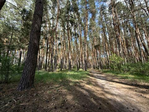 участок по адресу Слободская ул., 15