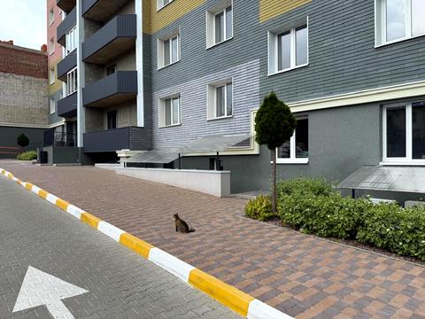 комерційна за адресою Олександра Саєнка вул., 11