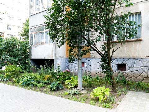 квартира за адресою Княгині Ольги вул., 73