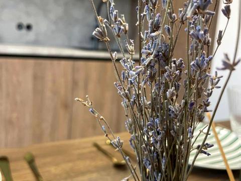 дом по адресу Шевченко ул.