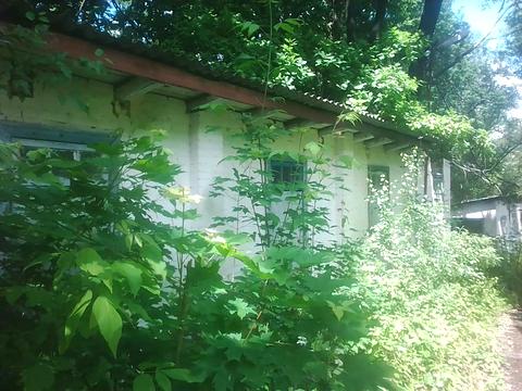 комерційна за адресою Шевченка вул., 43а
