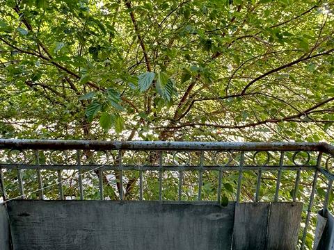 квартира за адресою Білоруська вул., 7