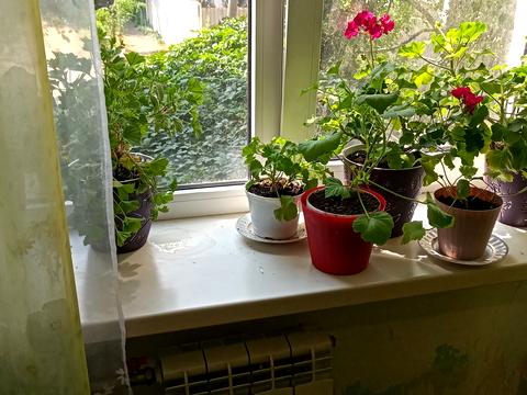 квартира по адресу Пищевая ул., 72