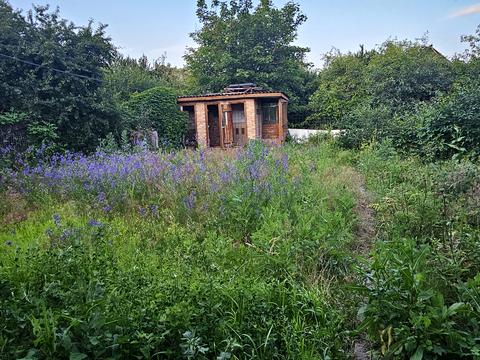 дом по адресу Садова 12