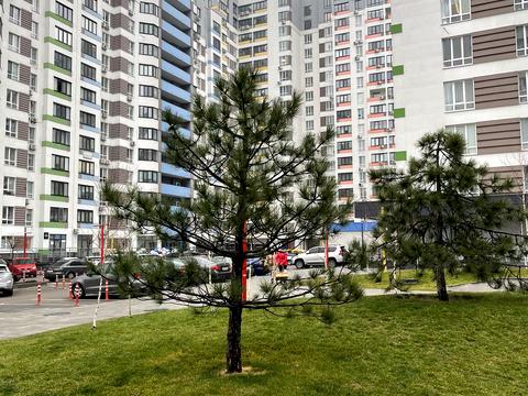 квартира по адресу Кузьмы Скрябина ул. (Ватутіна), 29