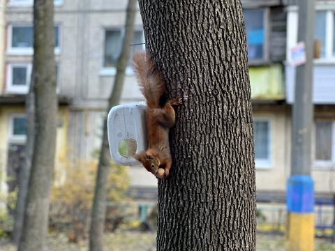 квартира за адресою Парково-Сирецька вул. (Тимофія Шамрила), 12-Г