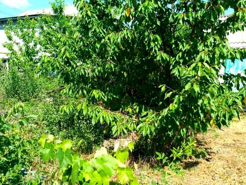 будинок за адресою провулок Батайській, 82
