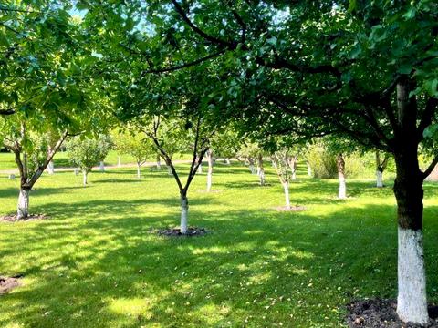 дом по адресу Первомайская ул.