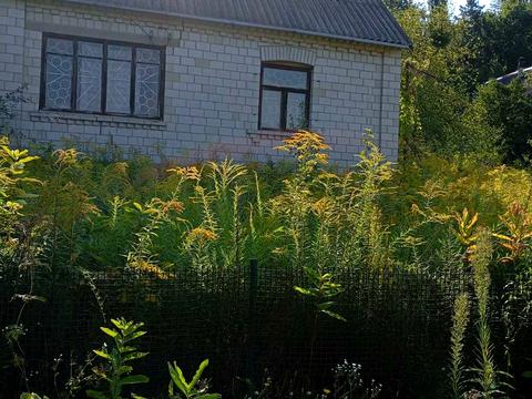дом по адресу СТ Струмок