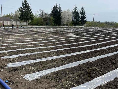 комерційна за адресою Польова, 8