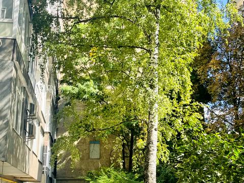квартира за адресою Олеся Гончара вул., 47