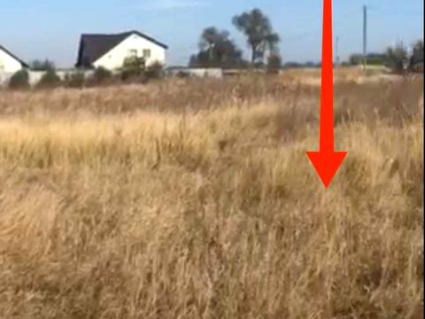 ділянка за адресою Молодіжна, 21