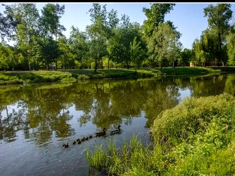 квартира по адресу Воскресенская ул., 12-В