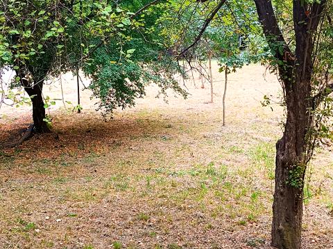 квартира за адресою Юності просп., 53