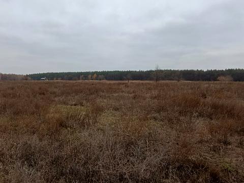 участок по адресу с. Гавриловка, 