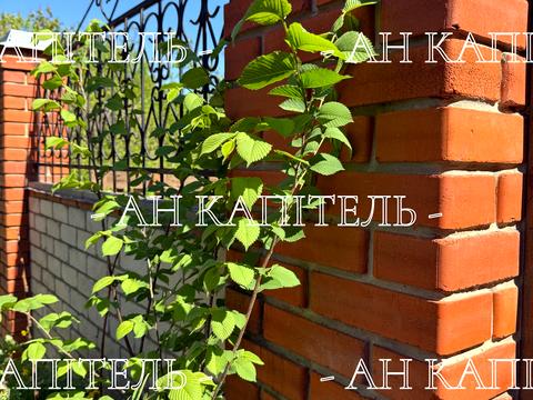 дом по адресу Шацкая ул. (Фурманова)