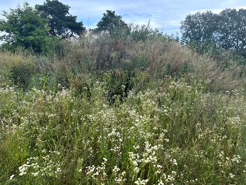 ділянка за адресою Яблунська вул. (Кірова)