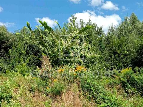 участок по адресу с. Стоянка, Грибна