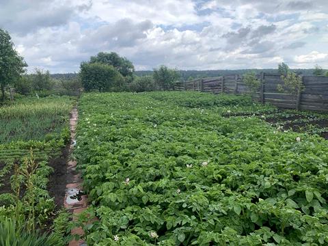 ділянка за адресою 6-та Лінія вул.