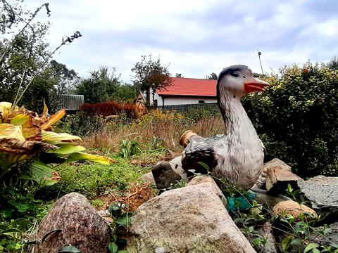 будинок за адресою Східна