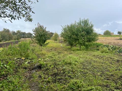 участок по адресу 