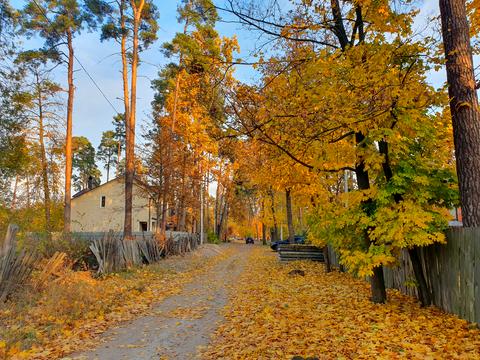 ділянка за адресою Мрії вул.