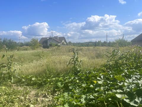 будинок за адресою с. Петрушки, Шевченко