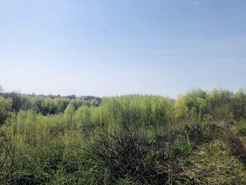 участок по адресу Джерельна