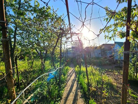 дом по адресу 26 вулиця