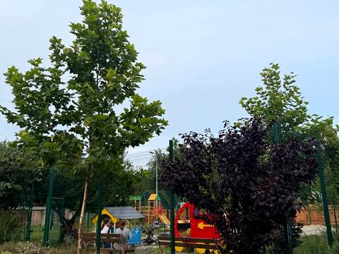 квартира по адресу Погребняка ул., 13