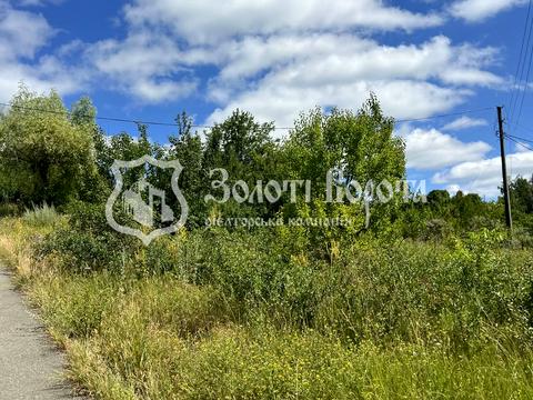 ділянка за адресою с. Нові Безрадичі, Капустяна, 1
