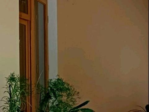 квартира за адресою Генерала Безручка вул., 14