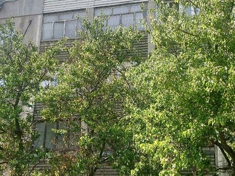 квартира по адресу Красный камень, 22