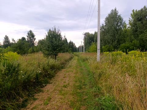 ділянка за адресою Колективна вул., 1