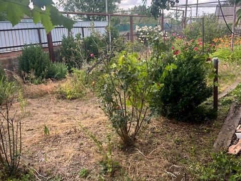будинок за адресою Зоряна, 62