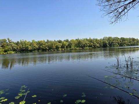 ділянка за адресою смт. Царичанка, зеленая
