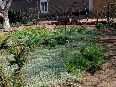 будинок за адресою Лесника