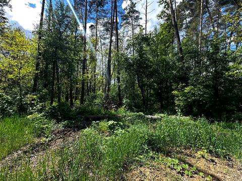 ділянка за адресою 