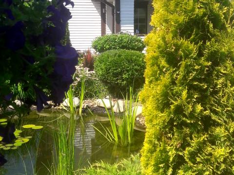 будинок за адресою Каштанова