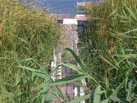 ділянка за адресою Вільне