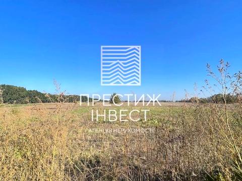 будинок за адресою с. Васильки, Озерна